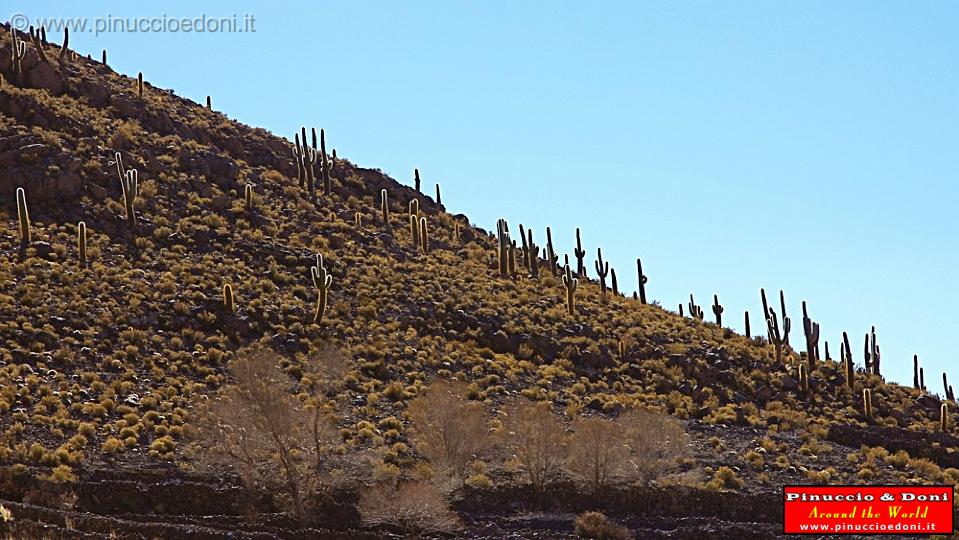 BOLIVIA 2 - On the road - 3.jpg